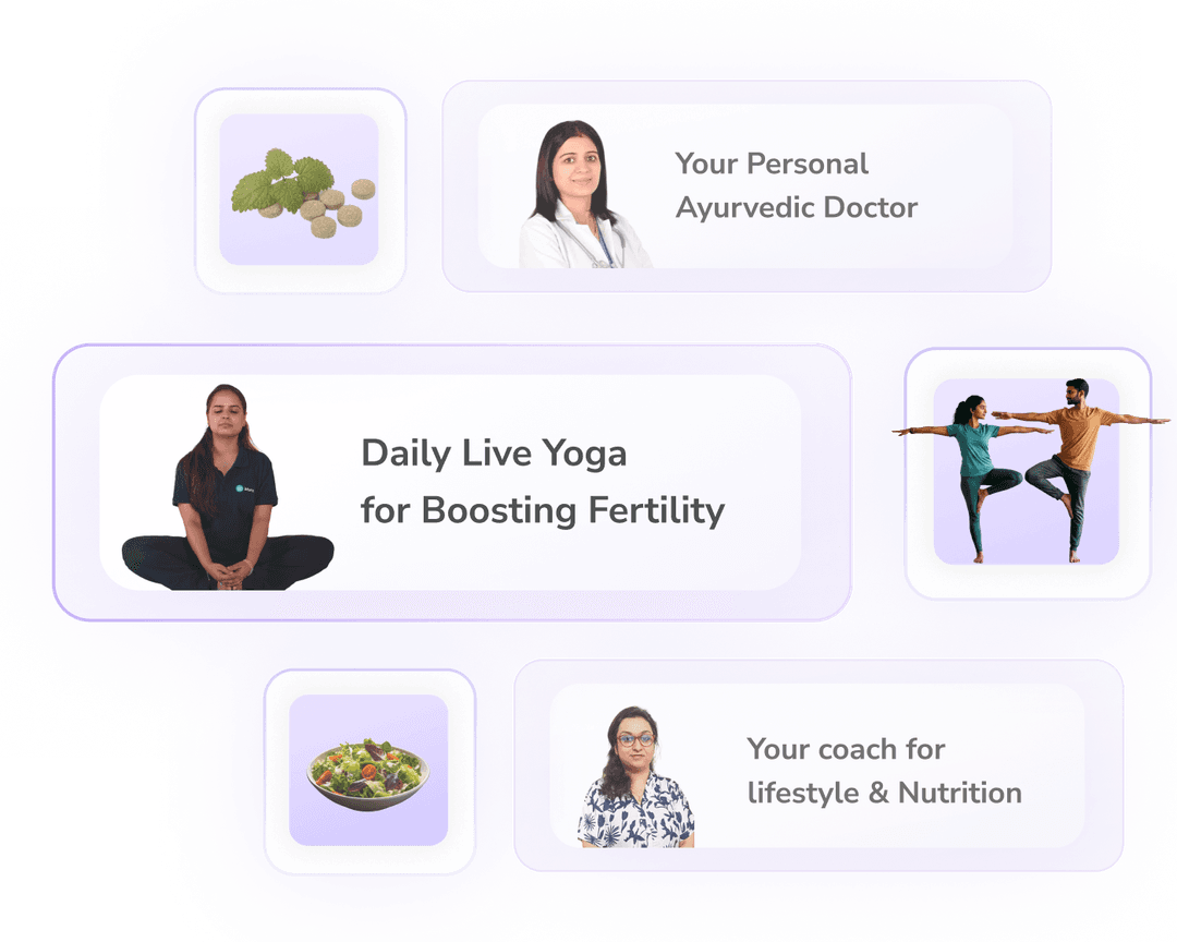 Personalised Fertility Treatments